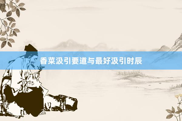 香菜汲引要道与最好汲引时辰